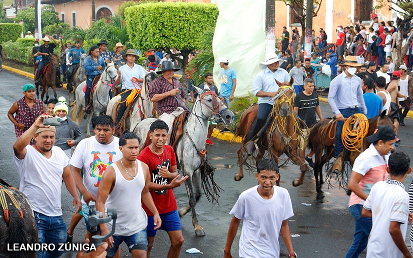 toros